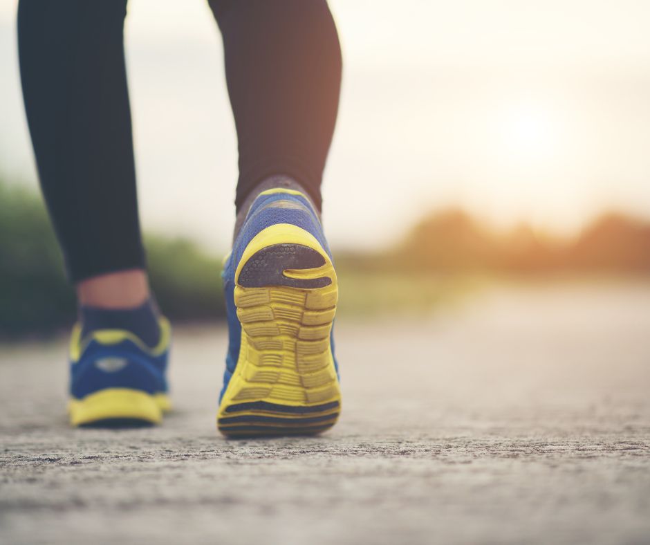 estudio de la carrera